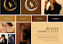 create a brand style guide your audience will never forget
